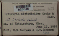 Image Associated With the Occurence